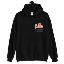 Load image into Gallery viewer, Dil Chahta Hai - Unisex Hoodie
