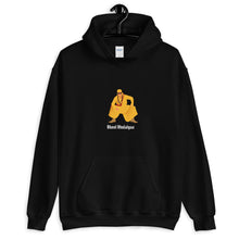 Load image into Gallery viewer, Bhool Bhulaiyaa - Akshay Kumar - Unisex Hoodie