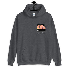 Load image into Gallery viewer, Dil Chahta Hai - Unisex Hoodie