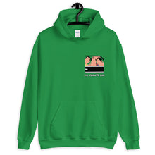 Load image into Gallery viewer, Dil Chahta Hai - Unisex Hoodie
