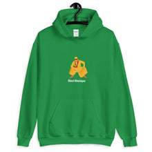 Load image into Gallery viewer, Bhool Bhulaiyaa - Akshay Kumar - Unisex Hoodie