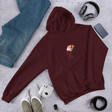 Load image into Gallery viewer, Ram Leela - Unisex Hoodie