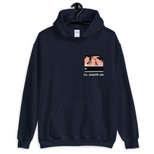 Load image into Gallery viewer, Dil Chahta Hai - Unisex Hoodie