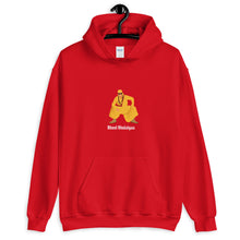 Load image into Gallery viewer, Bhool Bhulaiyaa - Akshay Kumar - Unisex Hoodie