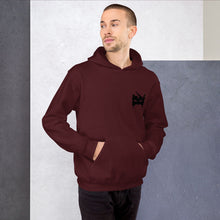 Load image into Gallery viewer, Krrish - Unisex Hoodie
