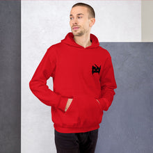 Load image into Gallery viewer, Krrish - Unisex Hoodie
